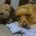 April and her stuffed dog.